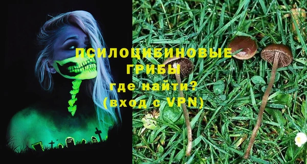 первитин Ленск