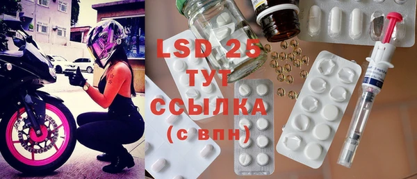 PSILOCYBIN Ростов