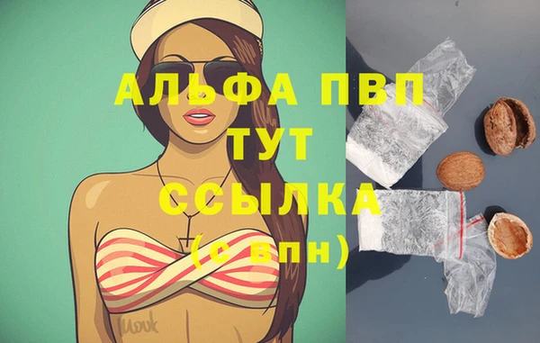 PSILOCYBIN Ростов
